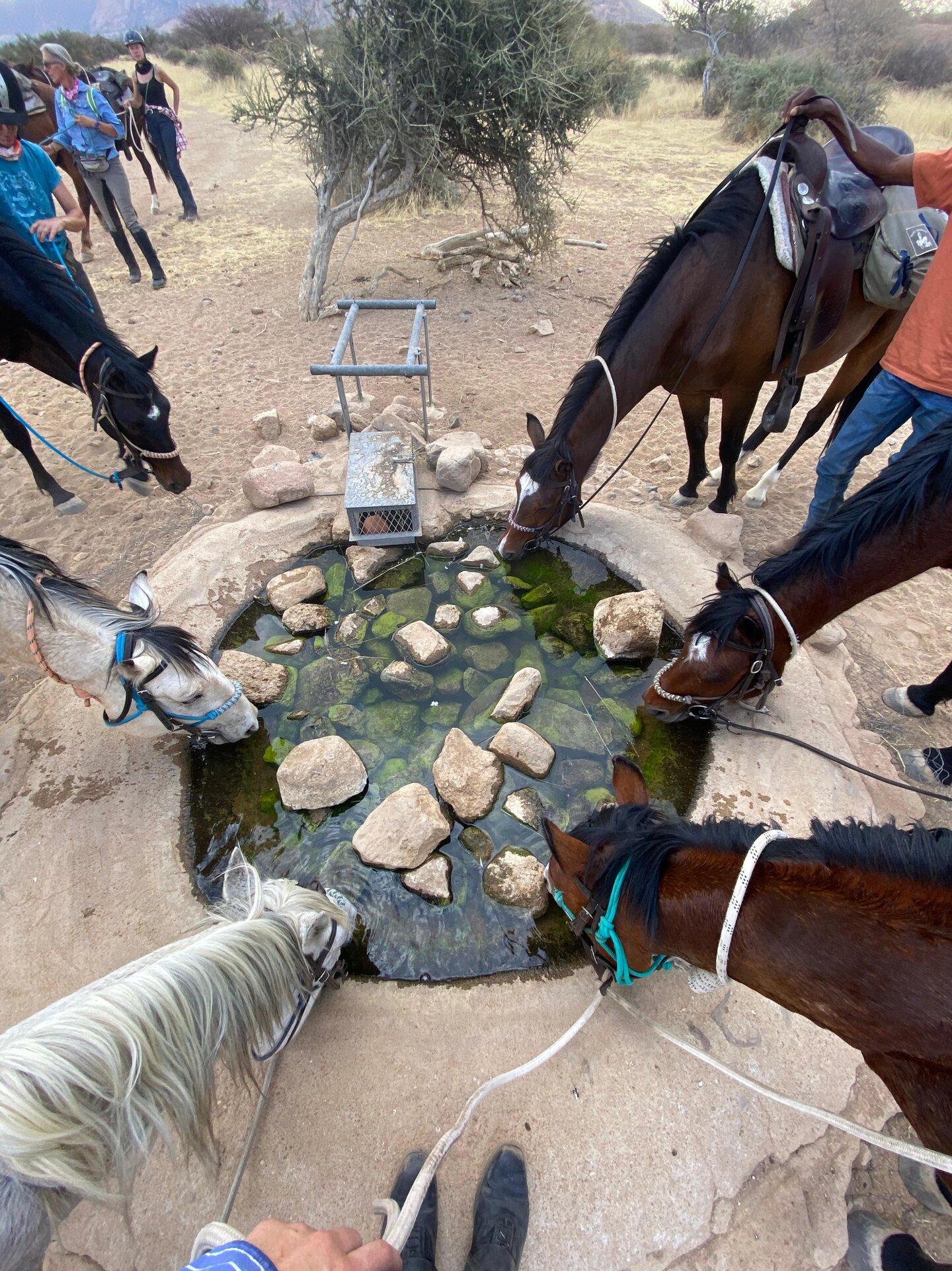 kim emmen en imagine in de landing van een sprong tijdens de olympische spelen