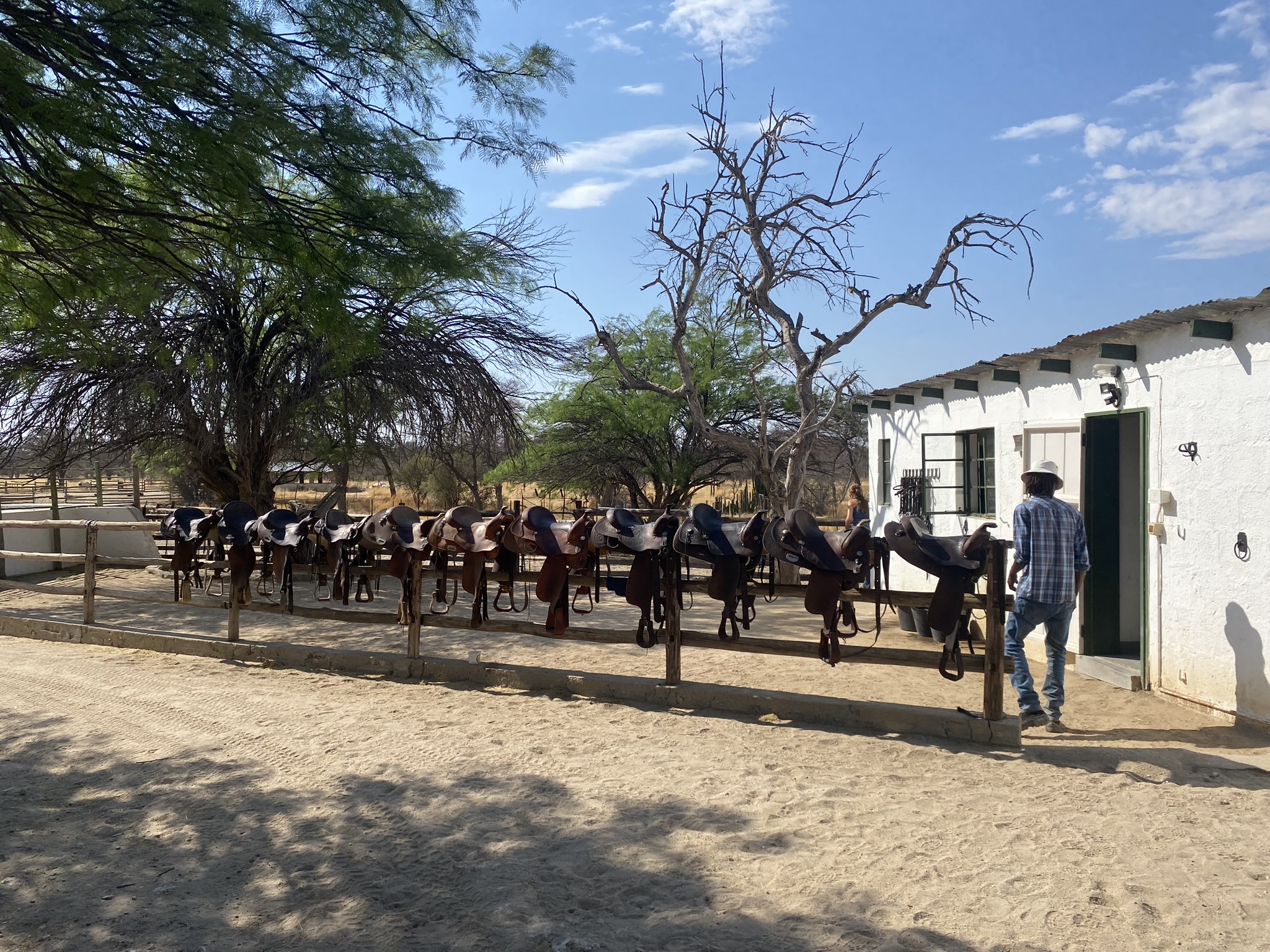 Samantha loopt naast haar veulentje